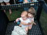 Field Day 2005